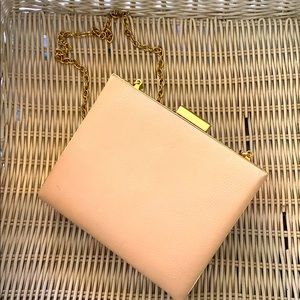 Aldo Pink Clutch Purse